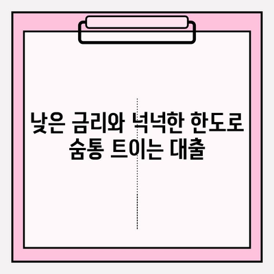 농협은행 NH씬파일러대출| 직장인부터 저신용자까지, 빠르고 간편한 대출 해결책 | 신용대출, 금리, 한도, 자격조건, 신청방법, 후기
