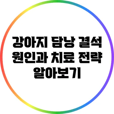 강아지 담낭 결석: 원인과 치료 전략 알아보기