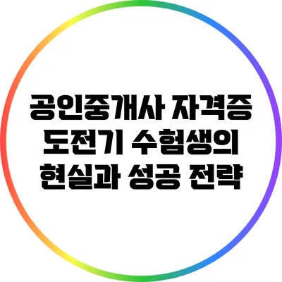 공인중개사 자격증 도전기: 수험생의 현실과 성공 전략
