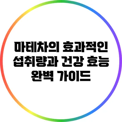 마테차의 효과적인 섭취량과 건강 효능 완벽 가이드