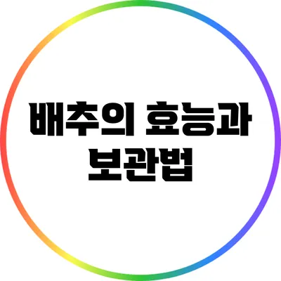 배추의 효능과 보관법