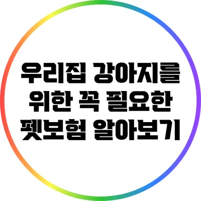 우리집 강아지를 위한 꼭 필요한 펫보험 알아보기
