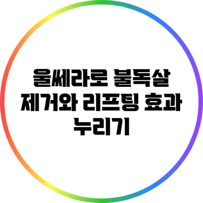울쎄라로 불독살 제거와 리프팅 효과 누리기