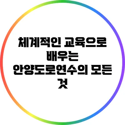 체계적인 교육으로 배우는 안양도로연수의 모든 것