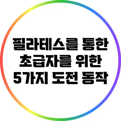 필라테스를 통한 초급자를 위한 5가지 도전 동작