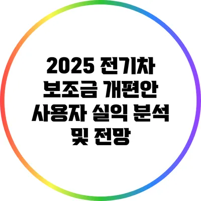 2025 전기차 보조금 개편안: 사용자 실익 분석 및 전망