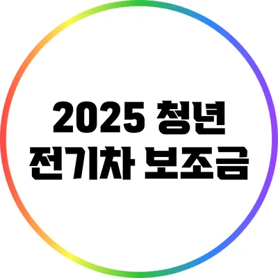 2025 청년 전기차 보조금