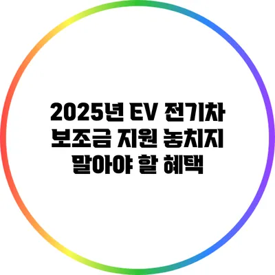 2025년 EV 전기차 보조금 지원: 놓치지 말아야 할 혜택