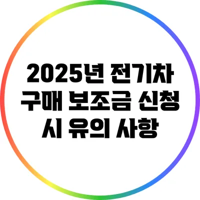 2025년 전기차 구매 보조금 신청 시 유의 사항