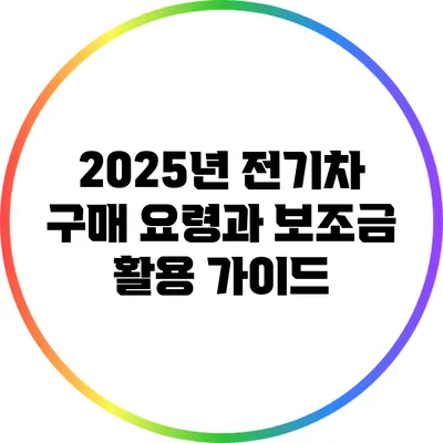 2025년 전기차 구매 요령과 보조금 활용 가이드