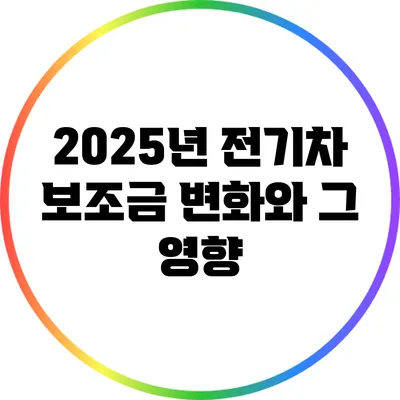 2025년 전기차 보조금 변화와 그 영향
