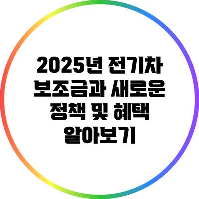 2025년 전기차 보조금과 새로운 정책 및 혜택 알아보기