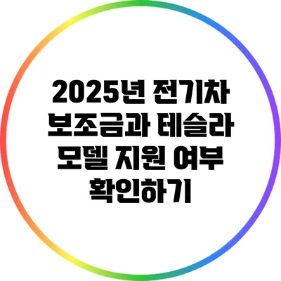 2025년 전기차 보조금과 테슬라 모델 지원 여부 확인하기