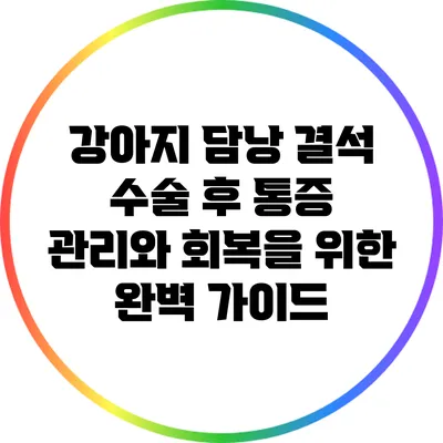 강아지 담낭 결석 수술 후 통증 관리와 회복을 위한 완벽 가이드