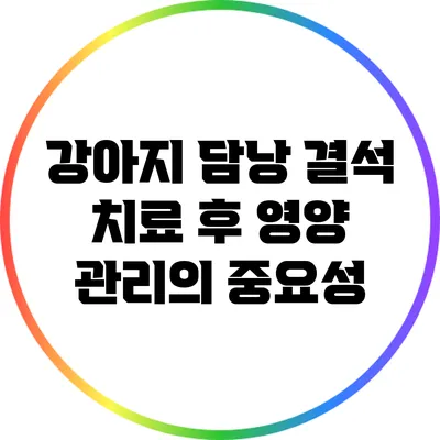 강아지 담낭 결석 치료 후 영양 관리의 중요성
