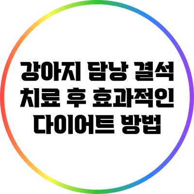 강아지 담낭 결석 치료 후 효과적인 다이어트 방법