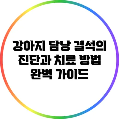 강아지 담낭 결석의 진단과 치료 방법 완벽 가이드