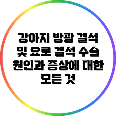 강아지 방광 결석 및 요로 결석 수술: 원인과 증상에 대한 모든 것