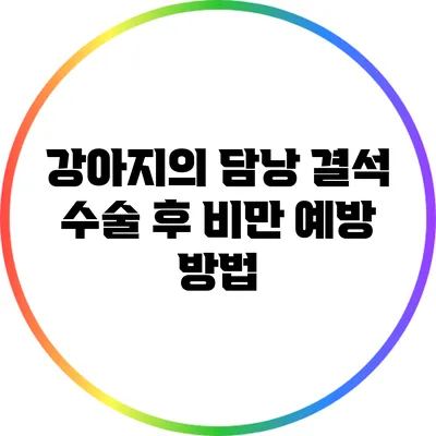 강아지의 담낭 결석 수술 후 비만 예방 방법