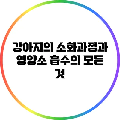 강아지의 소화과정과 영양소 흡수의 모든 것