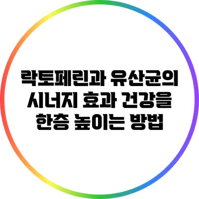 락토페린과 유산균의 시너지 효과: 건강을 한층 높이는 방법