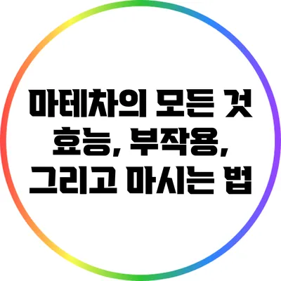 마테차의 모든 것: 효능, 부작용, 그리고 마시는 법