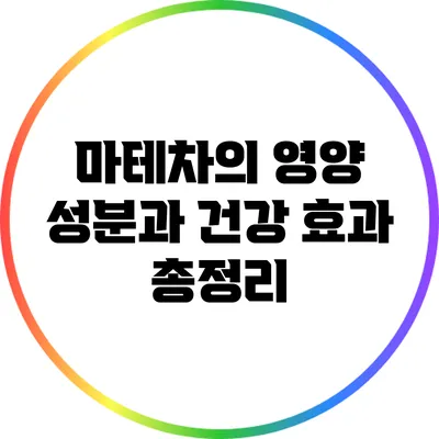 마테차의 영양 성분과 건강 효과 총정리