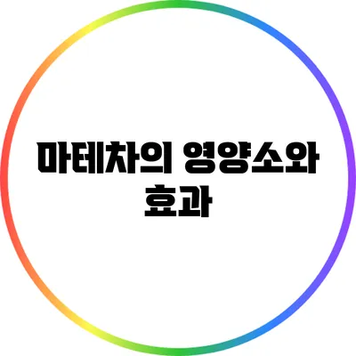 마테차의 영양소와 효과