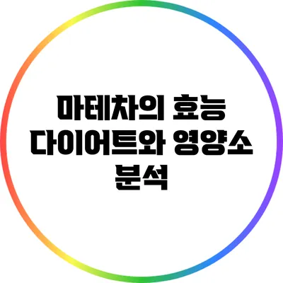마테차의 효능: 다이어트와 영양소 분석