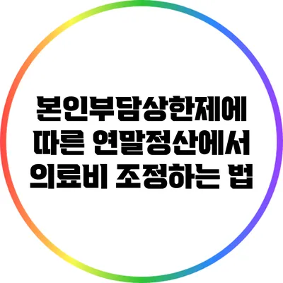 본인부담상한제에 따른 연말정산에서 의료비 조정하는 법