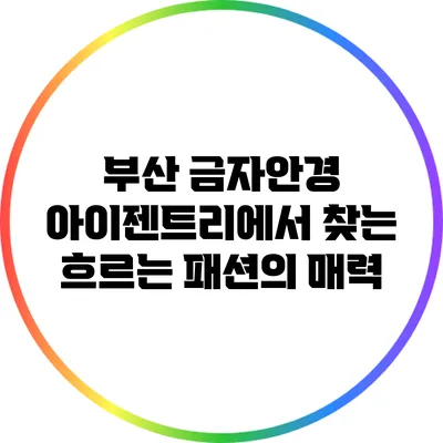 부산 금자안경 아이젠트리에서 찾는 흐르는 패션의 매력