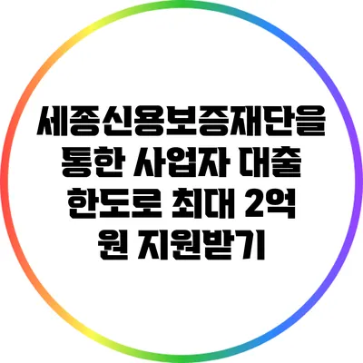 세종신용보증재단을 통한 사업자 대출 한도로 최대 2억 원 지원받기