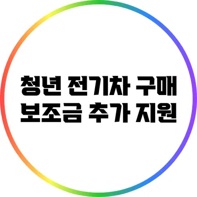 청년 전기차 구매 보조금 추가 지원