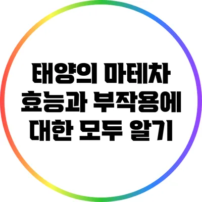 태양의 마테차: 효능과 부작용에 대한 모두 알기