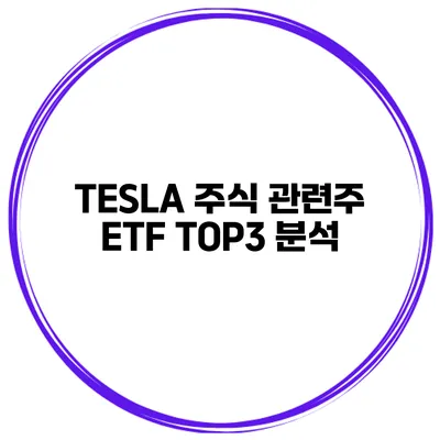 TESLA 주식 관련주 ETF TOP3 분석