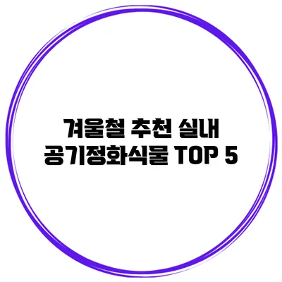 겨울철 추천 실내 공기정화식물 TOP 5