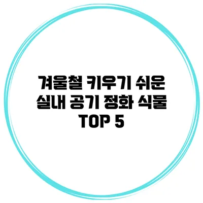 겨울철 키우기 쉬운 실내 공기 정화 식물 TOP 5