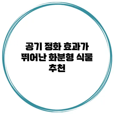 공기 정화 효과가 뛰어난 화분형 식물 추천