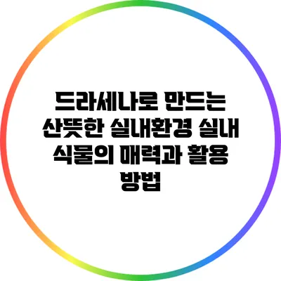 드라세나로 만드는 산뜻한 실내환경: 실내 식물의 매력과 활용 방법