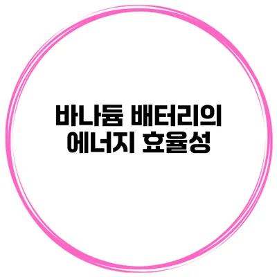 바나듐 배터리의 에너지 효율성