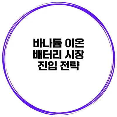 바나듐 이온 배터리 시장 진입 전략