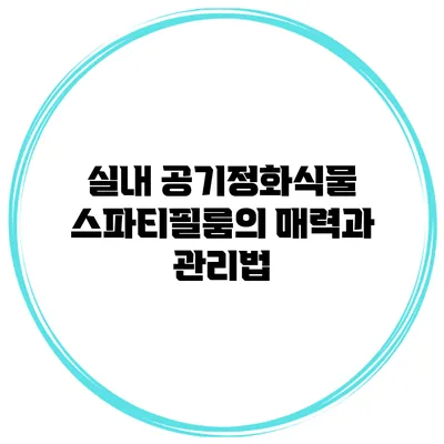 실내 공기정화식물 스파티필룸의 매력과 관리법