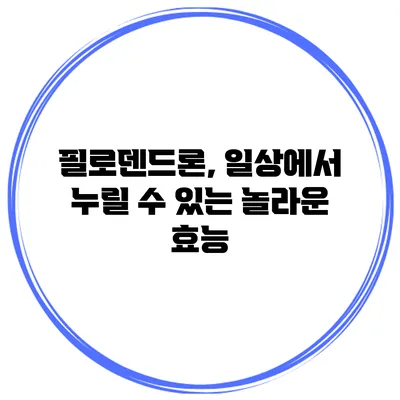 필로덴드론, 일상에서 누릴 수 있는 놀라운 효능