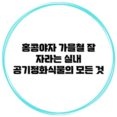 홍콩야자: 가을철 잘 자라는 실내 공기정화식물의 모든 것