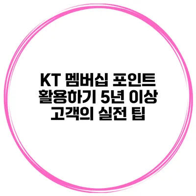 KT 멤버십 포인트 활용하기: 5년 이상 고객의 실전 팁
