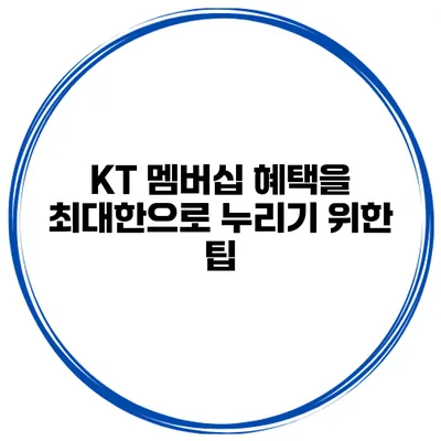 KT 멤버십 혜택을 최대한으로 누리기 위한 팁