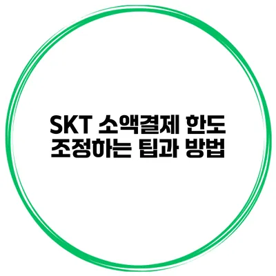 SKT 소액결제 한도 조정하는 팁과 방법