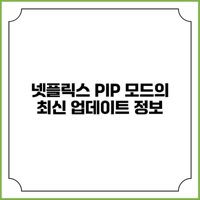 넷플릭스 PIP 모드의 최신 업데이트 정보