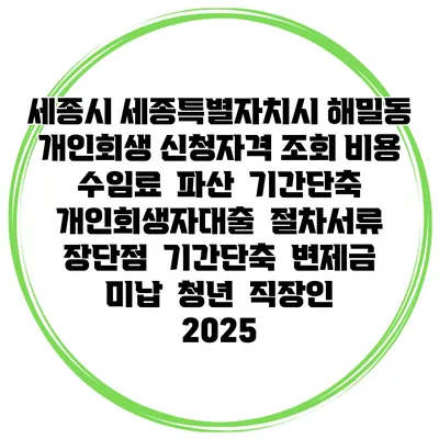 세종시 세종특별자치시 해밀동 개인회생 신청자격 조회 비용 수임료 | 파산 | 기간단축 | 개인회생자대출 | 절차서류 | 장단점 | 기간단축 | 변제금 미납 | 청년 | 직장인 2025