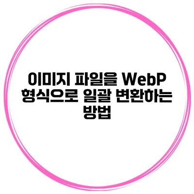 이미지 파일을 WebP 형식으로 일괄 변환하는 방법